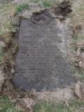 image of grave number 480300